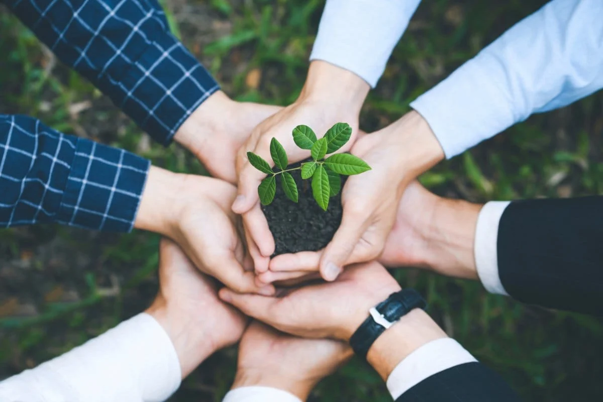 Prospection cabinet conseil RSE – LeadActiv-2